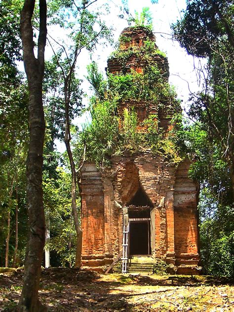 treasures of the cambodian jungle asia travel the independent