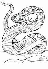 Coloring Viper Rattlesnake Diamondback Western Pages Snake Rattlesnakes Getdrawings Printable Getcolorings Color Template Drawing sketch template