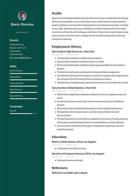 data analyst resume sample word susamiakanea