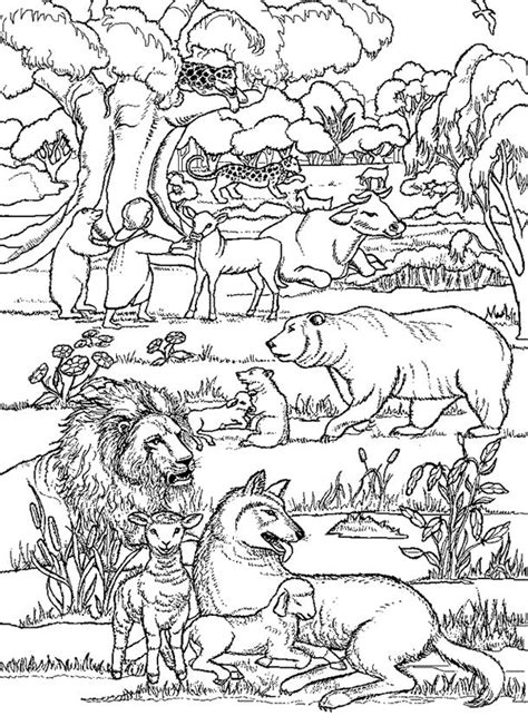 coloring pages animal kingdom animal kingdom coloring book  fun