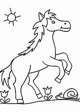 Pferd Pferde Ausmalbilder Ausmalen Ausdrucken Kostenlos Malvorlagen Vorlagen Pferdebilder Schnee Mandala Bibi Ausmalbild Tina Ponys Kinderbilder Drucken Fohlen Malen Vorlage sketch template