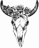 Skull Cow Bull Drawing Tattoo Indian Getdrawings sketch template