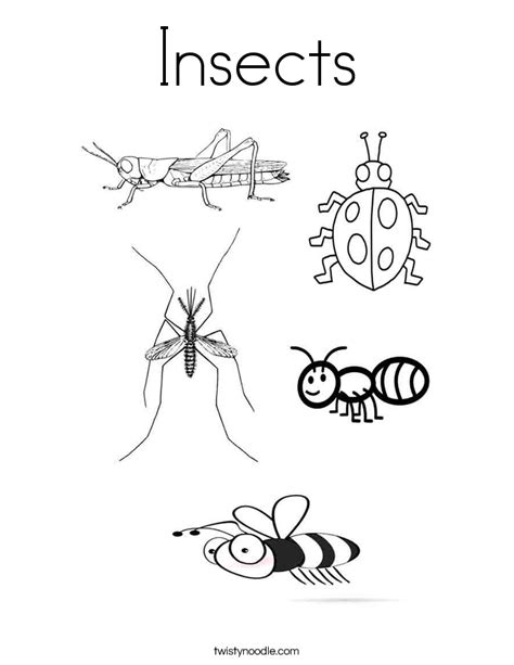 insects beetles coloring pages png  file