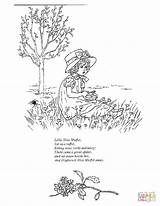 Coloring Miss Muffet Little Swamp Pages Girl Printable Sitting Garden Rhymes Nursery Silhouettes Categories 03kb 1100px sketch template