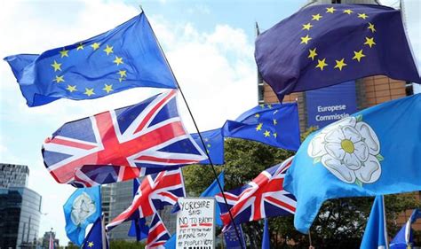 brexit news bbc savaged  brexit bias  panorama documentary  referendum uk