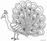 Peacock Coloring Pages Kids Drawing Bird Printable Feather Outline Cool2bkids Color Sheets Print Children Realistic Adult Getcolorings Getdrawings Mandala Easy sketch template