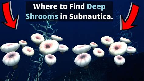 find deep shrooms  subnautica youtube