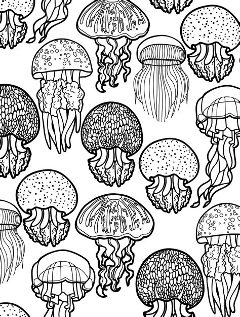 ocean life coloring pages  getcoloringscom  printable