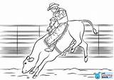 Bull Rodeo Drukuj sketch template