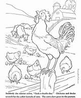 Coloring Pages Farm Animal Rooster Color sketch template