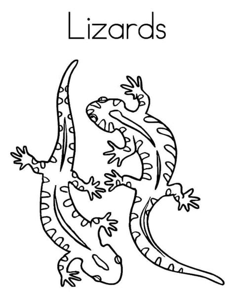 night lizard coloring pages  animal coloring pages blogs coloring