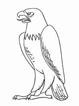 Eagle Coloring Pages Printable Kids sketch template