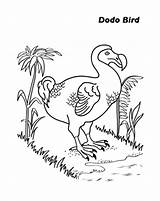 Dodo Bird Coloring Pages Finding Food Drawing Netart Print Color Getdrawings Getcolorings sketch template