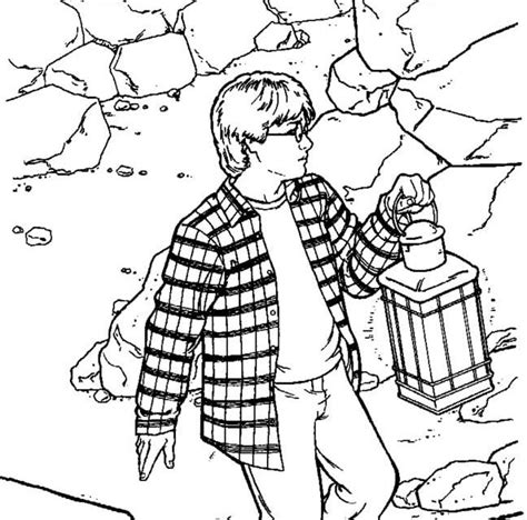 coloring pages coloring pages harry potter   chamber  secrets