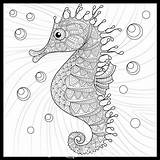 Seahorse Doodle Colorme Magicmurals End sketch template