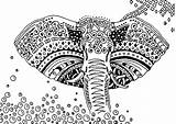 Afrique Difficiles Elefants Coloriages Ausmalen Bestof 101coloring Erwachsene Ausmalbilder sketch template