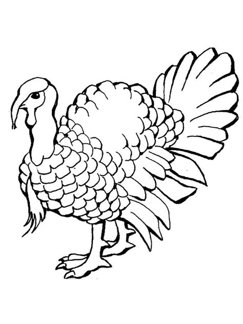 turkeys coloring pages