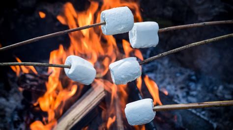 youve  roasting marshmallows wrong   time