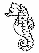 Coloring Seahorse Fish Pages Categories sketch template