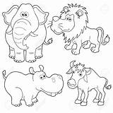 Animals Outline Wild Drawing Cartoon Animal Zoo Outlines Easy Cartoons Illustration Sketches Drawings Jungle Coloring Mammals Vector Getdrawings Sketch sketch template