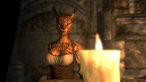 Khajiit Skyrim Cat Furry Art Elder Scrolls