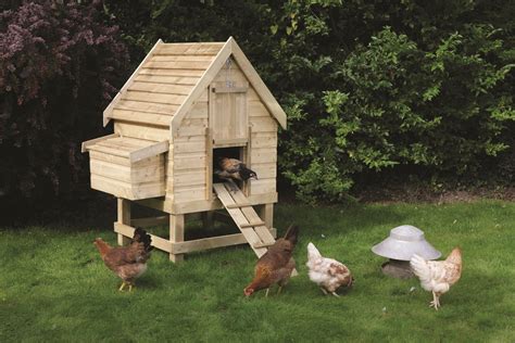 build  chicken coop chicken coops designs top tips  building  perfect chicken