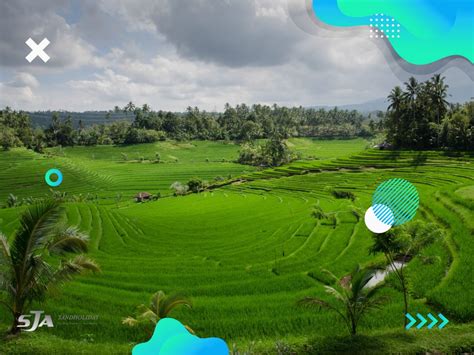 Ubud Rice Fields Walk 3 Of The Best To See Rural Bali Sandholiday