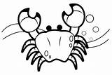 Granchio Animali Crab Coloradisegni Disegni Animals Pages2color Seashore sketch template