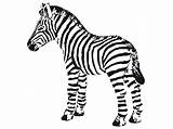 Zebra Coloring Pages Baby Cute Zebras Printable Clipart Cartoon Cliparts Drawing Print Kid Getcolorings Color Clipartmag Getdrawings Face Library sketch template