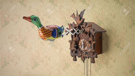 image result for cuckoo clock bird coming out fun