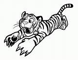 Tiger Outline Coloring Pages Popular Baby sketch template