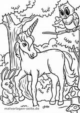 Einhorn Malvorlage Wald Malvorlagen Tiere Schule Magischen Malen Einhoerner sketch template