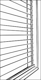 Blinds Outline Close Open Opening Illustration Window Hand Pulling Cord Dreamstime sketch template