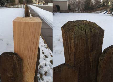 cut  beveled fence post cap   installed fence posts