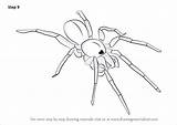 Step Spider Draw Drawing Woodlouse Tutorials Arachnids Drawingtutorials101 sketch template