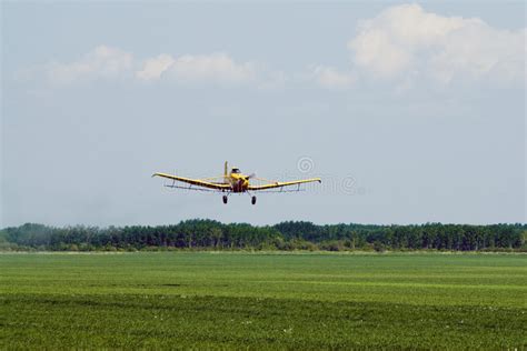 het landen stock foto image  stofdoek pesticide vleugels