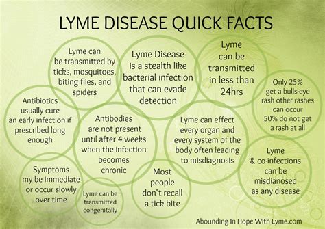 What Is Lyme Disease Facts You Need To Know Pinterest My Xxx Hot Girl