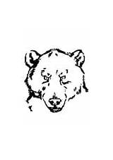 Bear Coloring Pages Head sketch template