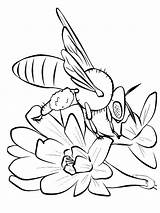 Bee Coloring Pages Print Color Coloring2print sketch template