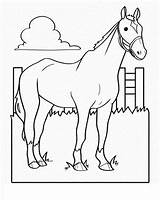 Horse Pages Coloring Farm Preschool Sheets Horses Worksheets Kids Worksheet Drawing Book Animals Animal Theme Colouring Printable Education Wild Big sketch template