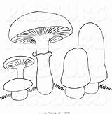 Clip Mushrooms Coloring Mushroom Picsburg Line Drawing Getdrawings sketch template