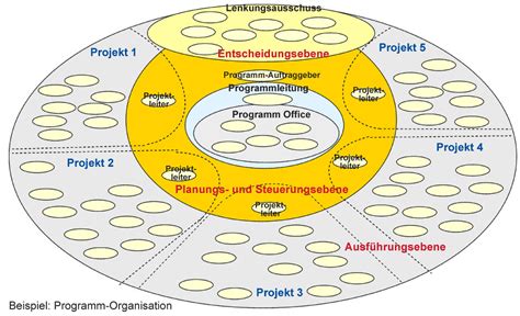 programm management  projektportfolio management dieprojektmanager