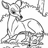 Coloring Bambi Animation Movies Animals Doe Pages Rainforest Sheets Color Printablefreecoloring Line sketch template