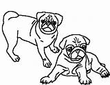 Pug Coloring Pages Pugs Printable Two Colouring Adult Print Clipart Beautiful Puppy Dog Drawing Color Cartoon Pig Clipartbest Kids Draw sketch template