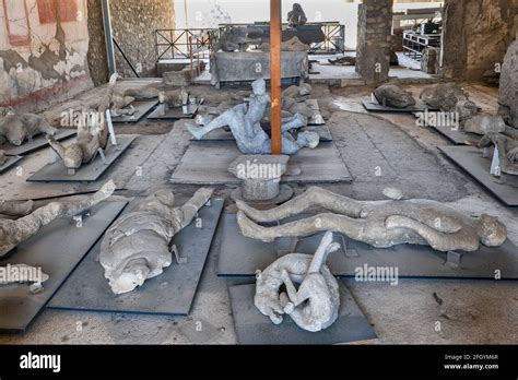 human bodies plaster cast ancient victims of the mount vesuvius