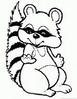 Raccoon Coloring Pages Clipart Cliparts Clip Cartoon Favorites Add Library sketch template