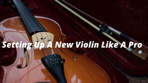 setting    violin   pro  complete guidelines
