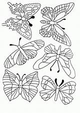 Schmetterling Vlinder Mariposas Papillons Malvorlagen Kleurplaten Kleurplaat Farfalle Mariposa Tyson Malvorlagen1001 Ninos Borboletas Patrones Bordar Tsgos Gratuit Pergamano Vlinders Verob sketch template
