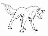 Wolf Coloring Pages Cartoon Drawing Wolfs Wolves Drawings sketch template