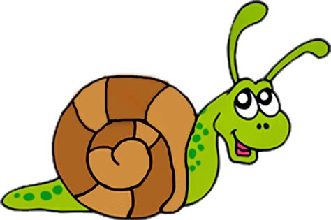 cartoon snails   cartoon snails png images